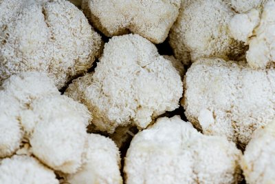 Lion's mane is de paddenstoel die nu overal opduikt